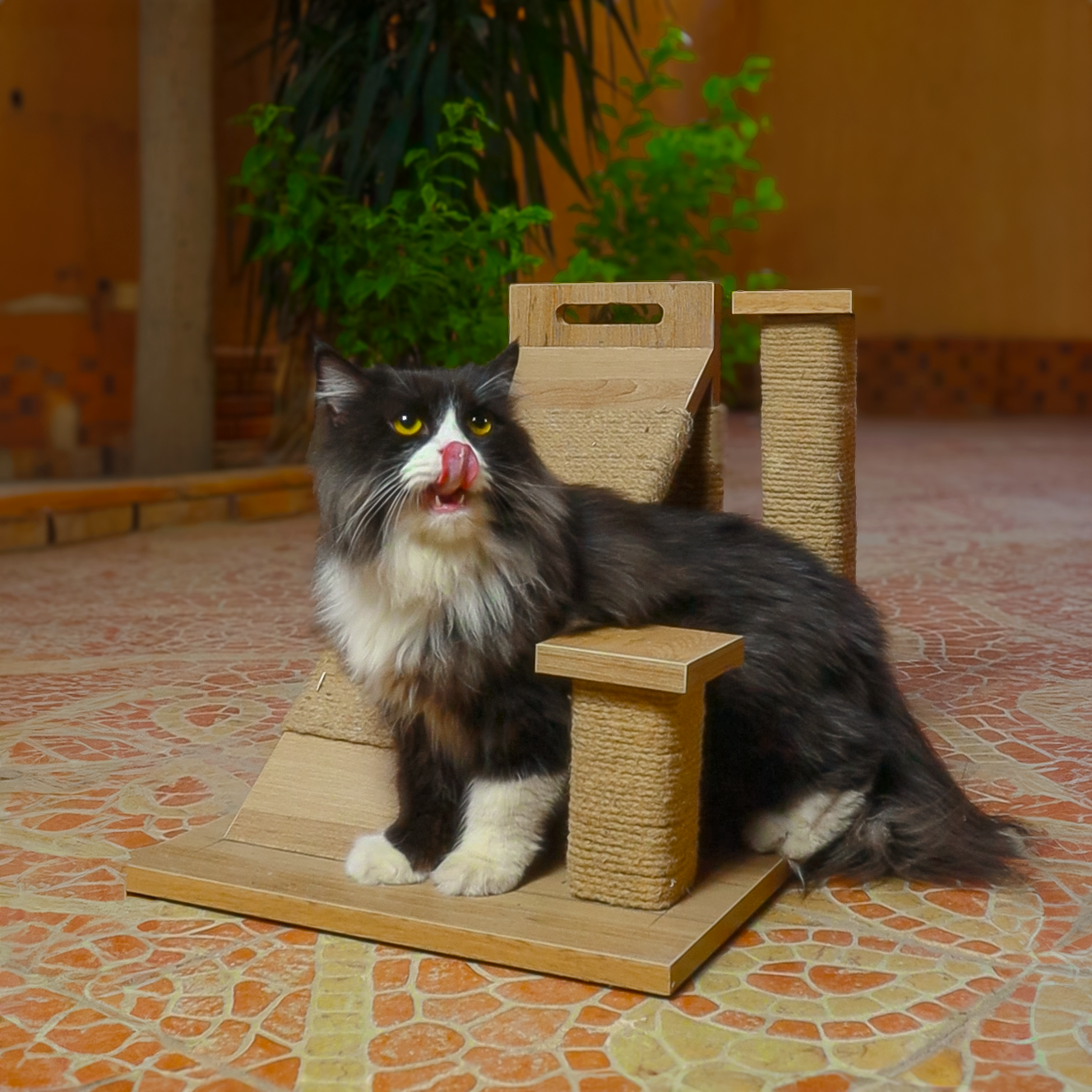 petmoda Scratch Cat Activity Center cat With catnip 3 in 1 With catnip