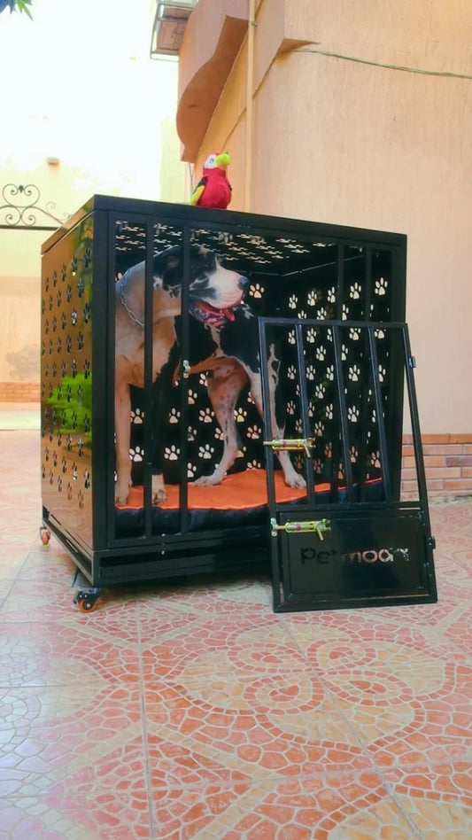 Petmoda Powerful Dog House